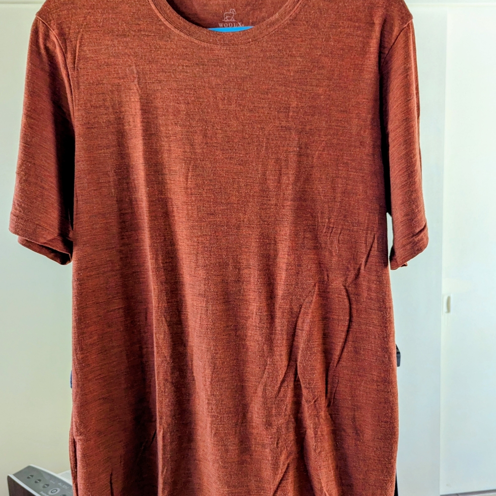 Men's Rust T-Shirt